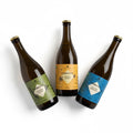 Assinatura Mensal de Kombucha