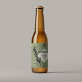 Kombucha de Alecrim