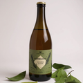Kombucha de Alecrim