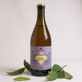 Kombucha de Erva-Cidreira