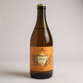 Kombucha de Gengibre